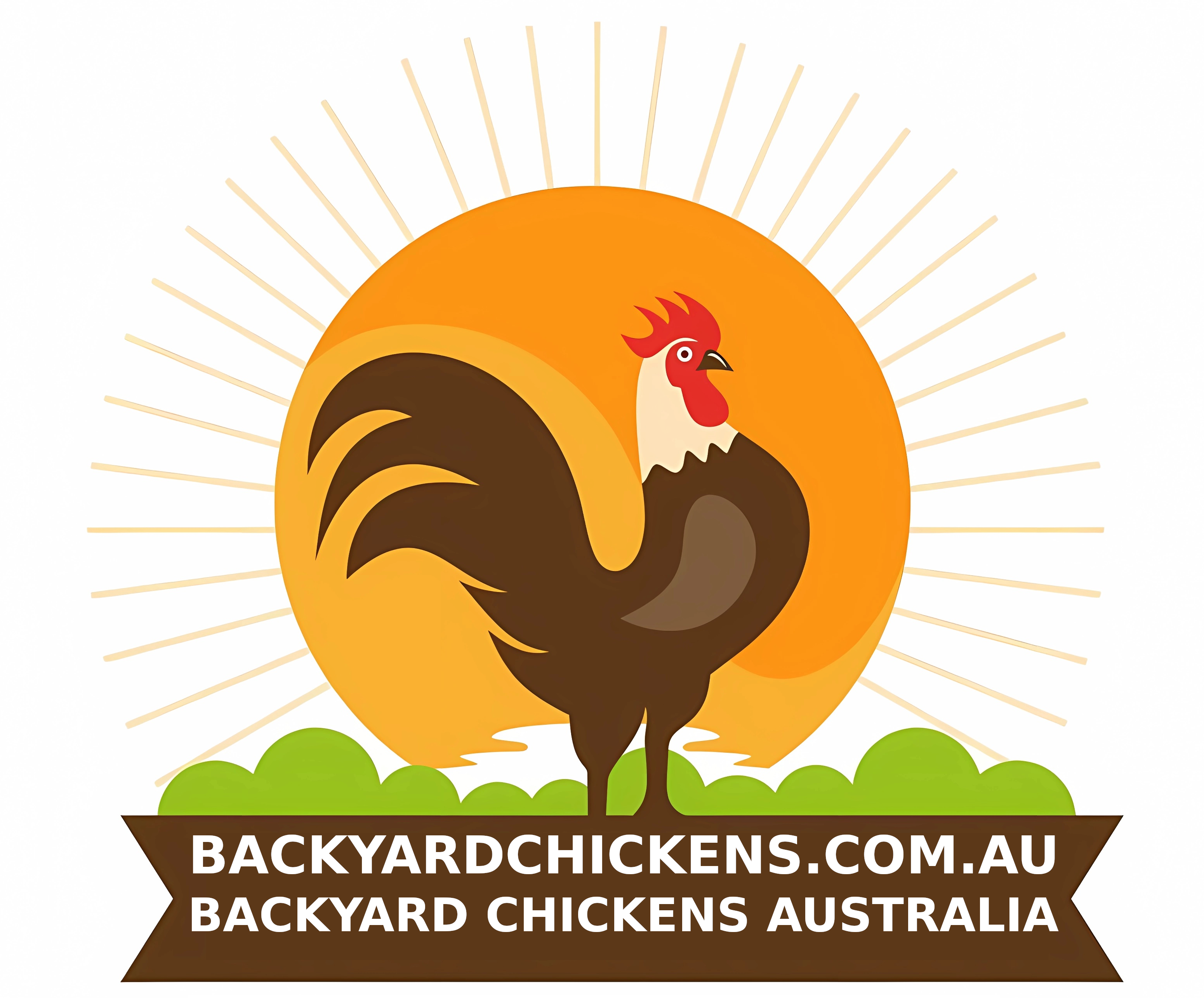 Backyard Chickens Australia